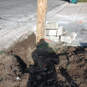 Image20251107100008-1762539678 Image20251107100008-1762539678