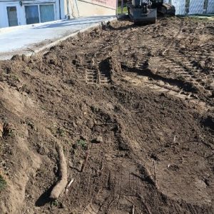 Image20251107100037-1762539677 Image20251107100037-1762539677