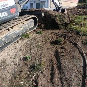 Image20251107100604-1762539678 Image20251107100604-1762539678