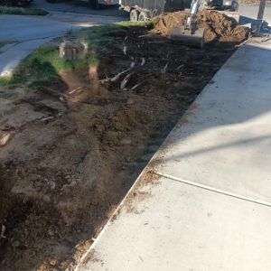 Image20251107100613-1762539677 Image20251107100613-1762539677