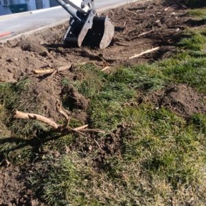 Image20251107100617-1762539680 Image20251107100617-1762539680