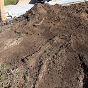 Image20251107100620-1762539679 Image20251107100620-1762539679