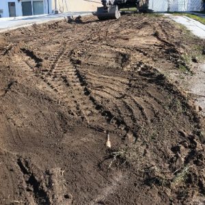 Image20251107100624-1762539680 Image20251107100624-1762539680