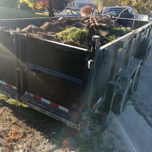 Image20251107100628-1762539677 Image20251107100628-1762539677