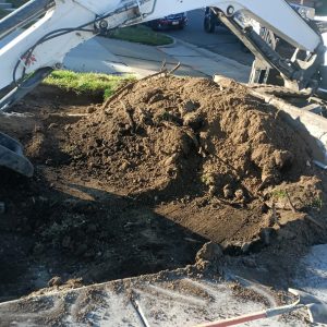 Image20251107100634-1762539679 Image20251107100634-1762539679